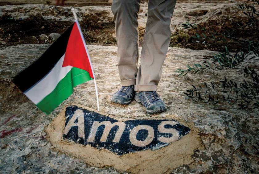 In This Land: Solidarity with Palestine In This Land: Solidarity with Palestine