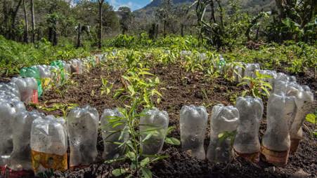amos_trust_features_nicaragua_irrigation.jpg
