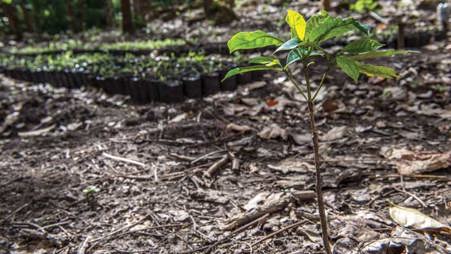 amos_trust_blog_climate_justice_and_nicaragua_1.jpg
