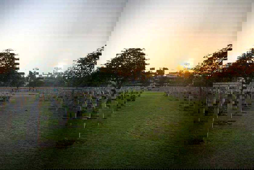 It Says Palestine — Remembrance Day 2019 It Says Palestine — Remembrance Day 2019