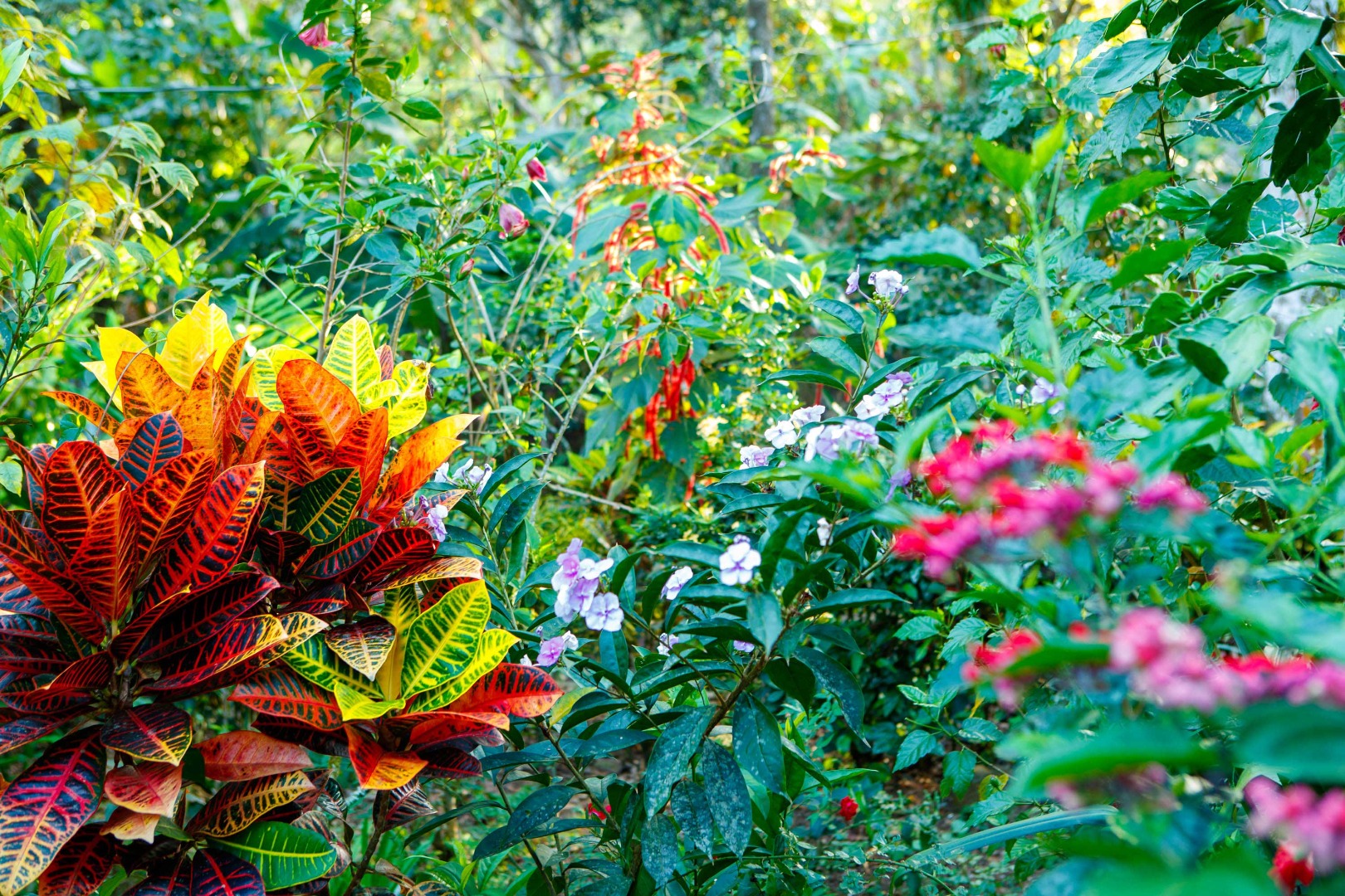 amos_trust_climate_justice_amos_gardening_club_carousel.jpg