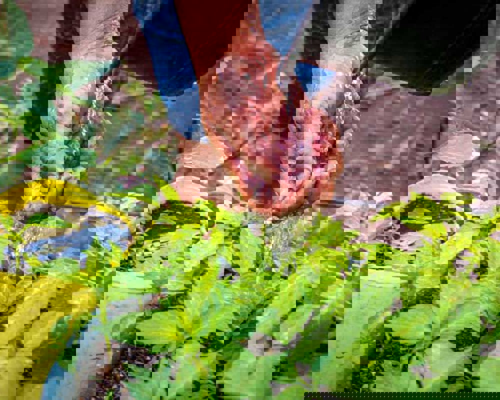 amos_trust_climate_justice_climate_actions_thumbnail.jpg