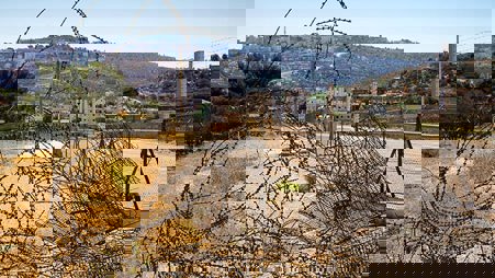 amos_trust_blog_b’tselem_press_release.jpg