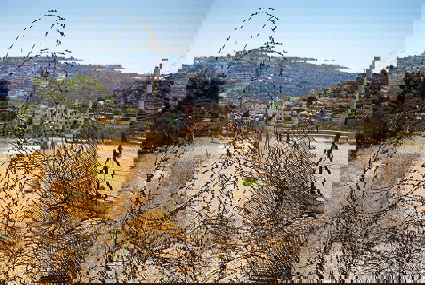B’Tselem press release B’Tselem press release