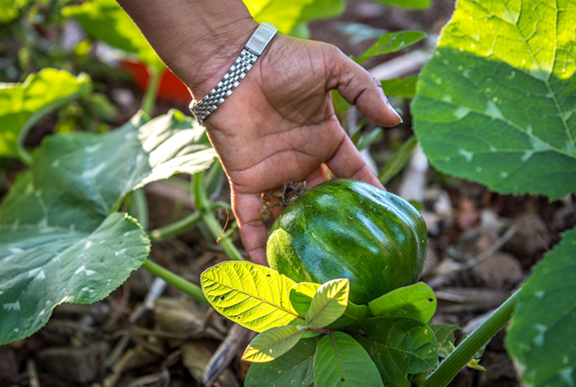 Stories of Hope | Doing Hope in... Nicaragua | February 2024 Stories of Hope | Doing Hope in... Nicaragua | February 2024