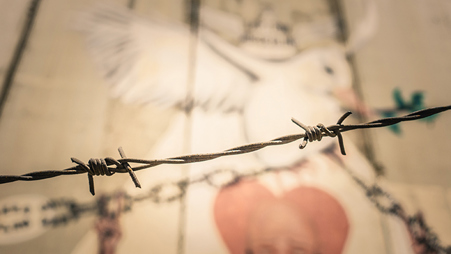 Amos Trust Blog An Unlawful Presence 1